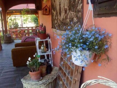 Salaš Gnjezdo u Baškoj Palanci Salaš Gnjezdo u Baškoj Palanci