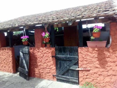 Salaš Gnjezdo u Baškoj Palanci Salaš Gnjezdo u Baškoj Palanci