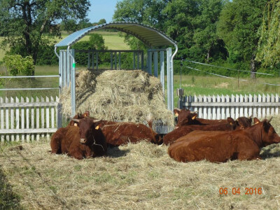 U Zagrebačkoj županiji