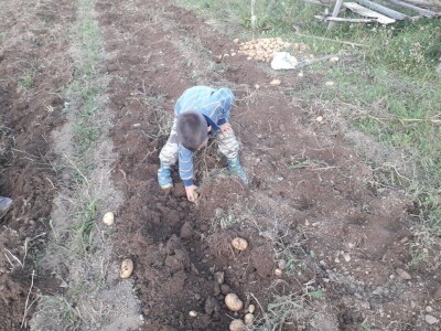 Salih Čaušević: Veseli me što domaća proizvodnja dobija na cijeni