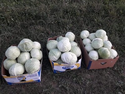 Salih Čaušević: Veseli me što domaća proizvodnja dobija na cijeni