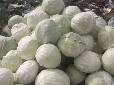 Salih Čaušević: Veseli me što domaća proizvodnja dobija na cijeni