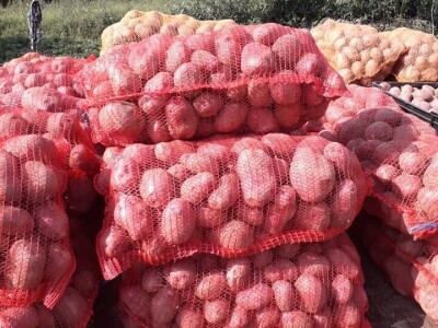 Salih Čaušević: Veseli me što domaća proizvodnja dobija na cijeni