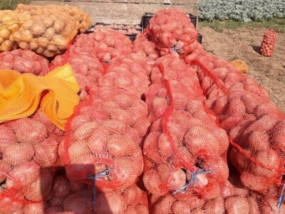 Salih Čaušević: Veseli me što domaća proizvodnja dobija na cijeni