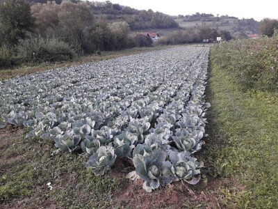Salih Čaušević: Veseli me što domaća proizvodnja dobija na cijeni