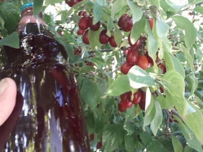 Salih Čaušević: Veseli me što domaća proizvodnja dobija na cijeni