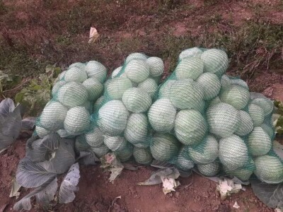 Salih Čaušević: Veseli me što domaća proizvodnja dobija na cijeni