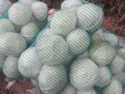 Salih Čaušević: Veseli me što domaća proizvodnja dobija na cijeni