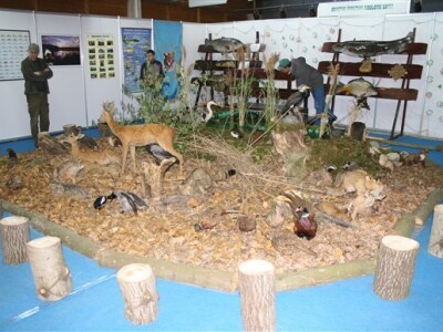 Sve za lov i ribolov