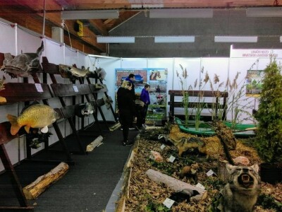 SALORI, osječki sajam lova i ribolova