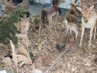 Sajam Salori i poljoprivredni proizvođači