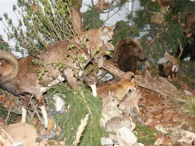 SALORI 2009