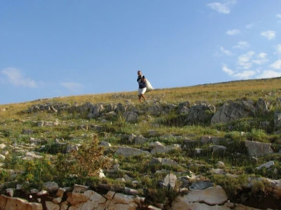 Salvia Kornati