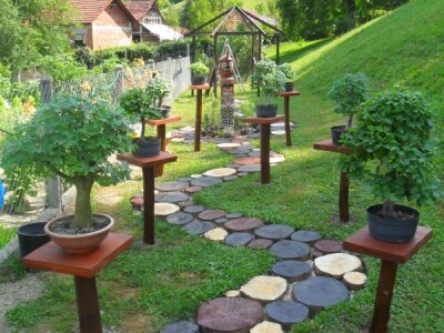 Bonsai na stalcima uz prirodni put Bonsai na stalcima uz prirodni put