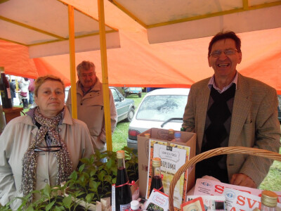 manifestacija Zdravofest