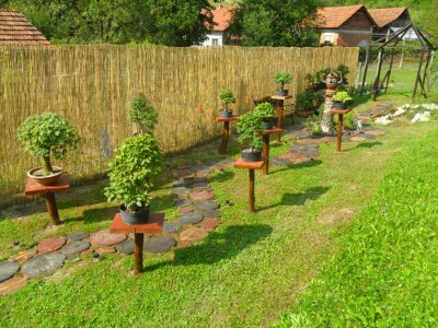 Dio japanskog vrta Dio japanskog vrta