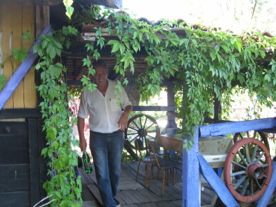 Sam napravio sopstveno jezero - vratio laste, kornjače, barske koke