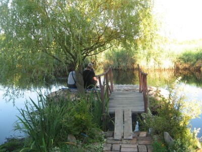 Sam napravio vlastito jezero - vratio laste, kornjače, mlakuše