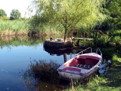 Sam napravio vlastito jezero - vratio laste, kornjače, mlakuše