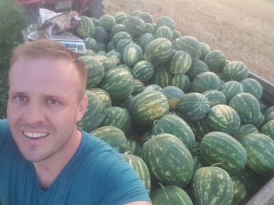 Samir Kljunić: Prodaja odlično ide, svaki dan prodamo tonu lubenice