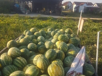 Samir Kljunić: Prodaja odlično ide, svaki dan prodamo tonu lubenice