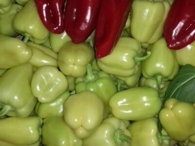 Samir Šehić - samozaposleni poljoprivrednik sa 100%-tnim invaliditetom