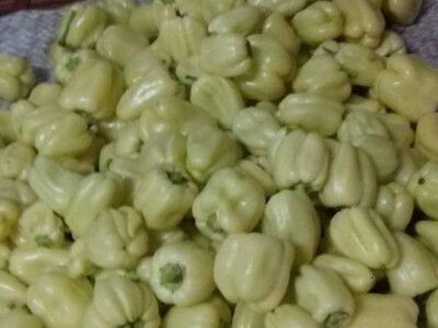 Samir Šehić - samozaposleni poljoprivrednik sa 100%-tnim invaliditetom