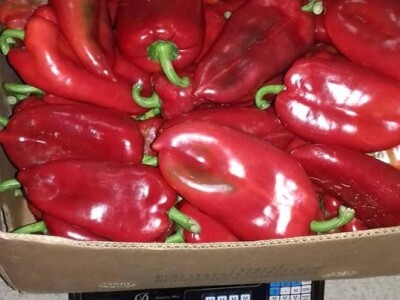 Samir Šehić - samozaposleni poljoprivrednik sa 100%-tnim invaliditetom