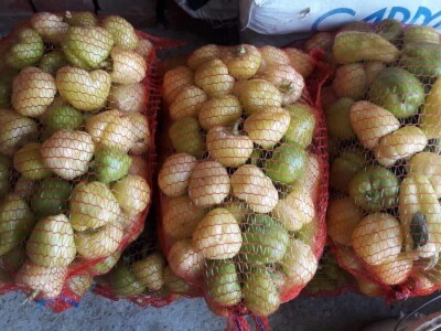 Samir Šehić - samozaposleni poljoprivrednik sa 100%-tnim invaliditetom