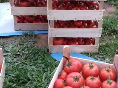 Samir Šehić - samozaposleni poljoprivrednik sa 100%-tnim invaliditetom