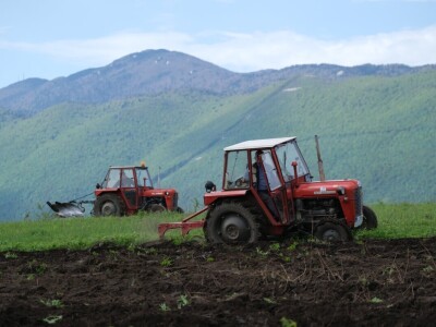 Samiru Aličić 20 komšija pomoglo uzorati njive