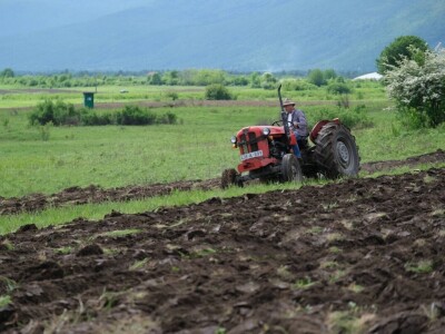 Samiru Aličić 20 komšija pomoglo uzorati njive