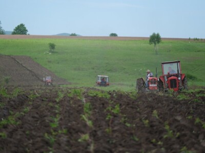 Samiru Aličić 20 komšija pomoglo uzorati njive