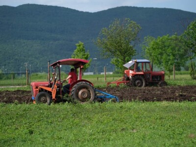 Samiru Aličić 20 komšija pomoglo uzorati njive