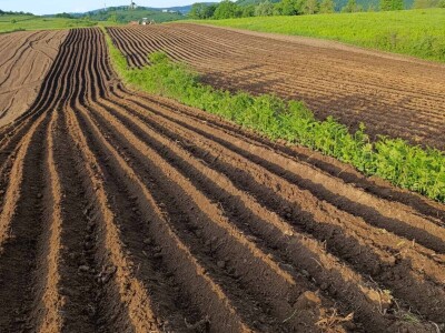 Samiru Aličić 20 komšija pomoglo uzorati njive