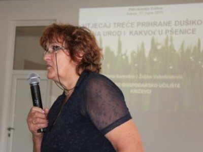 Istraživanje - Utjecaj treće prihrane dušikom na sadržaj proteina u zrnu pšenice