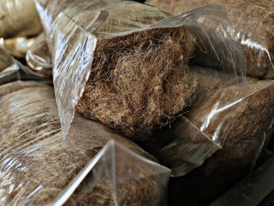 Samostalna djelatnost Pelc