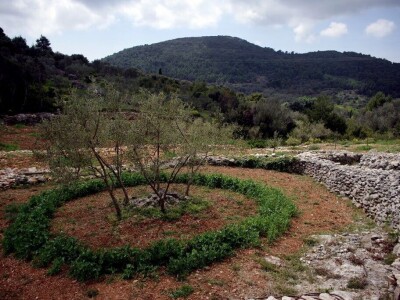 Šampinosko maslinovo ulje