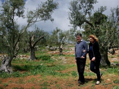 Šampinosko maslinovo ulje