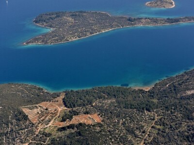 Šampinosko maslinovo ulje