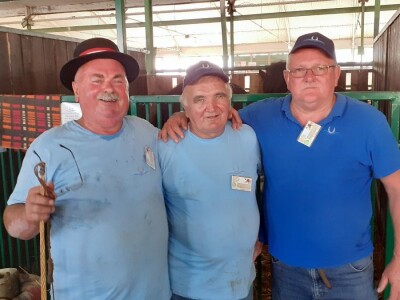 Šampion Gudovca Šampion Gudovca