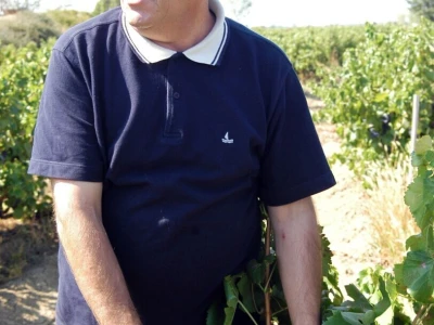 Šampion Sabatine dr. Anđelko Vrsaljko otkriva: Blato ljekovito i za metabolizam vinove loze!