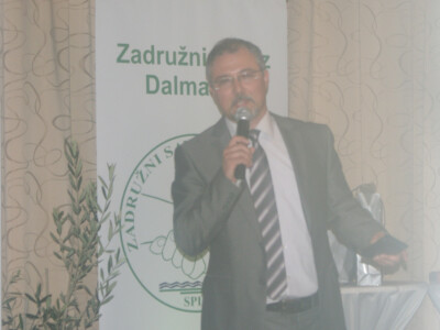 Šampioni Noćnjak 2017.