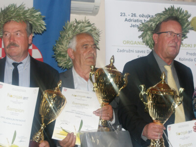 Šampioni Noćnjak 2017.