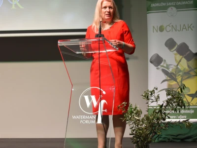 Šampioni otvorenih ulja - Noćnjak 2022