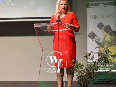 Šampioni otvorenih ulja - Noćnjak 2022