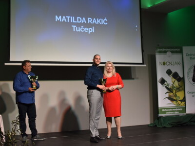 Šampioni otvorenih ulja - Noćnjak 2022