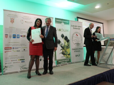 Šampioni otvorenih ulja - Noćnjak 2023