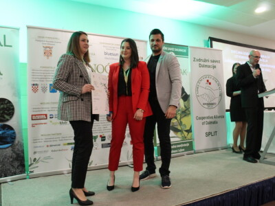 Šampioni otvorenih ulja - Noćnjak 2023