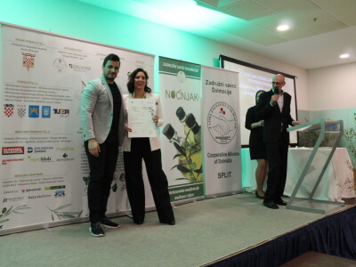 Šampioni otvorenih ulja - Noćnjak 2023